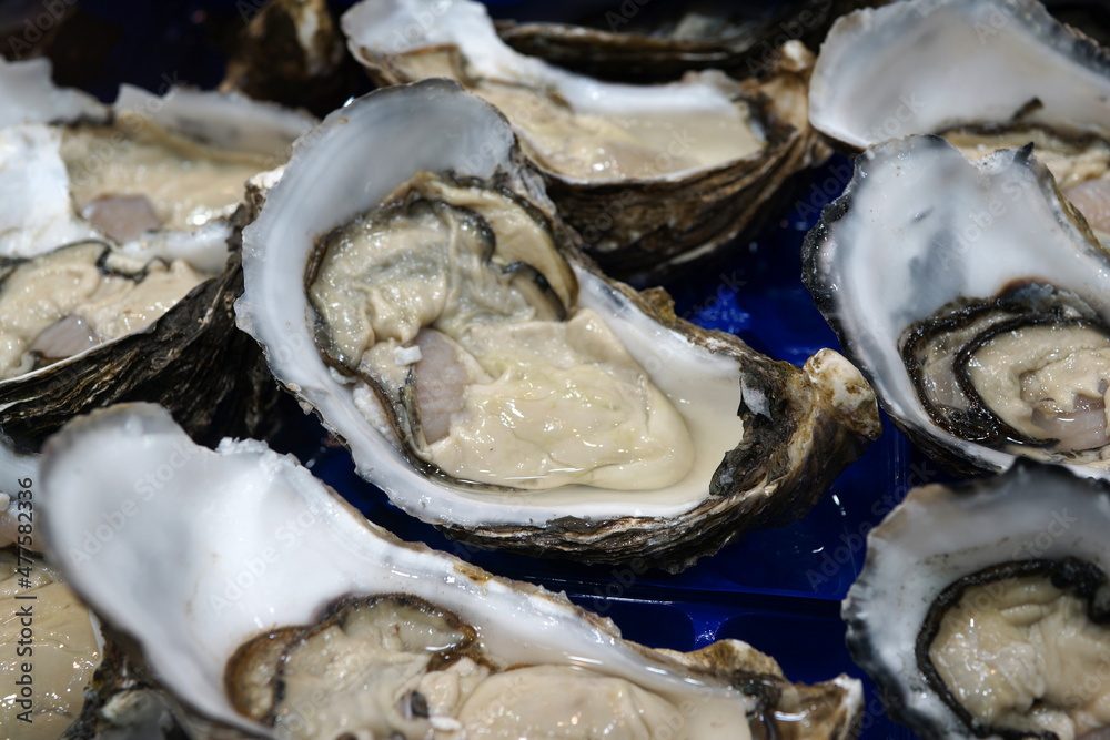 Fototapeta Fresh oysters selling on market stall
