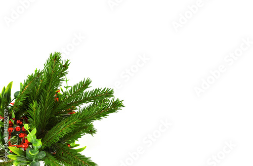 Christmas fir tree branch decorated red hellebore berry leaf isolated on white background copy space