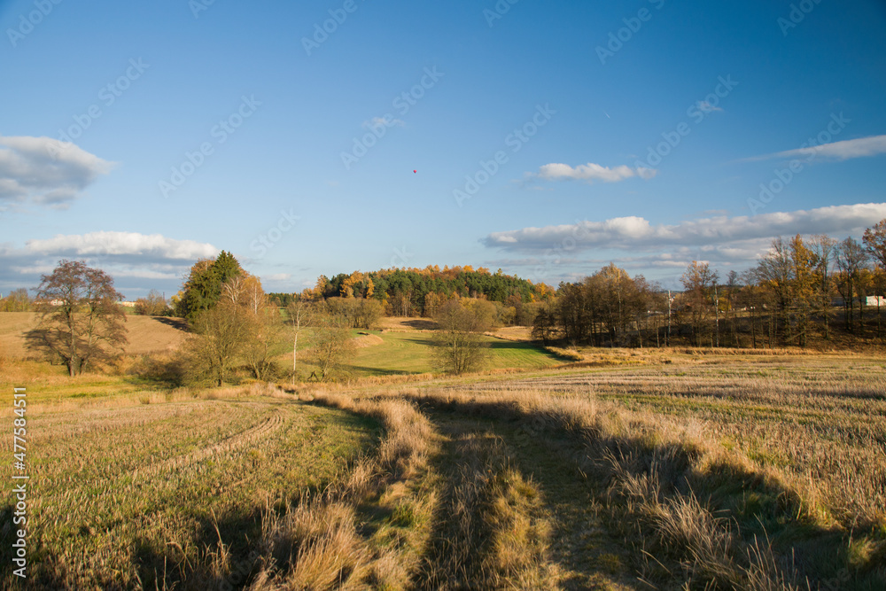 Fototapeta premium View over meadows and fields in autumn colors