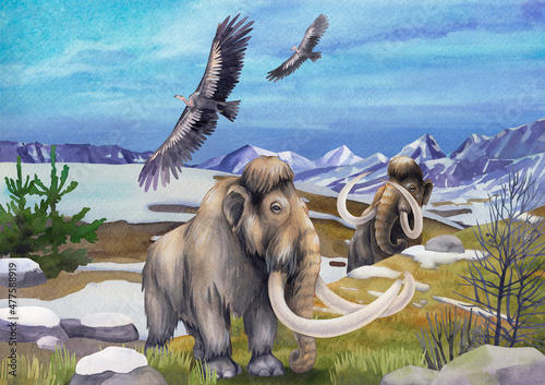 Watercolor mammoths walking in a snowy mountain landscape photo