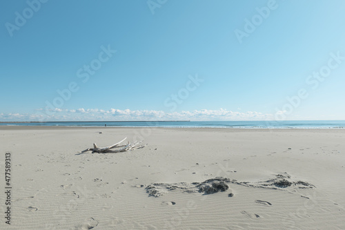 冬の青空と砂浜と流木 茨城県大洗町 12月