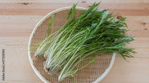 水菜”Mizuna green””Japanese brassica””potherb masterd” photo