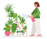 The girl waters flowers. Vector illustration. Spray indoor plants with water. Take care of potted plants. Suitable for postcards, design, corporate identity.