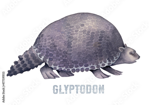 Watercolor prehistoric glyptodon isolated on white background. photo