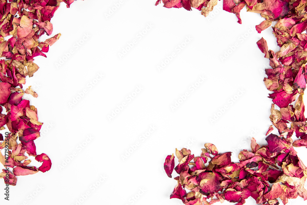 Close up shot of Dry rose petals background border,edge isolated on white background with copy space romantic wedding, Valentines Day design - obrazy, fototapety, plakaty 