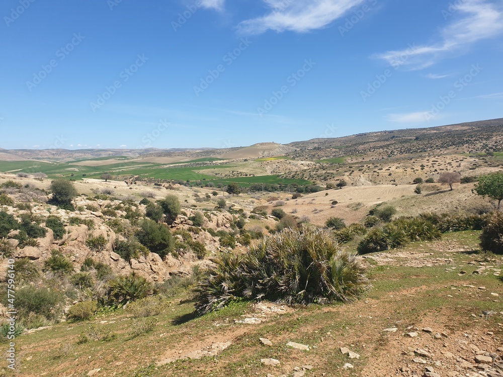 Beautiful landscapes in the spring, the city of Tiaret, Algeria
