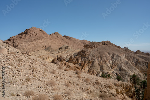 View of Chbika - mountain oasis in western Tunisia -Tozeur governorate - Tunisia 