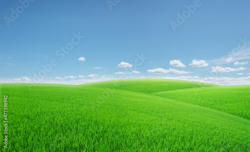 panorama of green meadows with beutyfull blue sky and white clouds in day ligth for background.