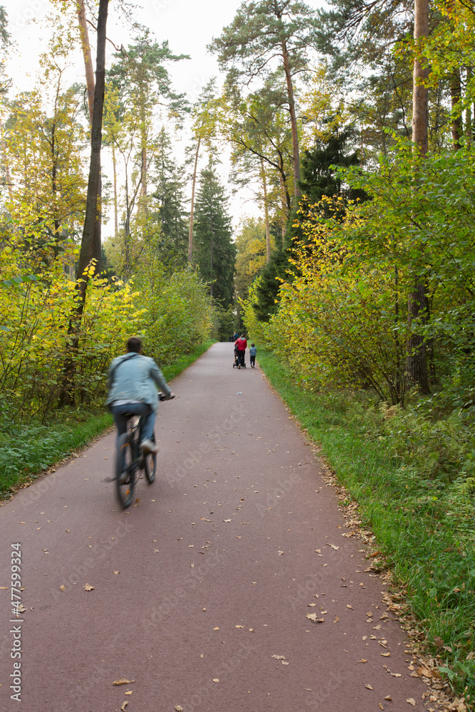 man riding bicycle, woman with son and baby trolley walking on asphalt walkway trail path road in the woods with green grass, trees around. Meshersky forest park. Moscow, Russia