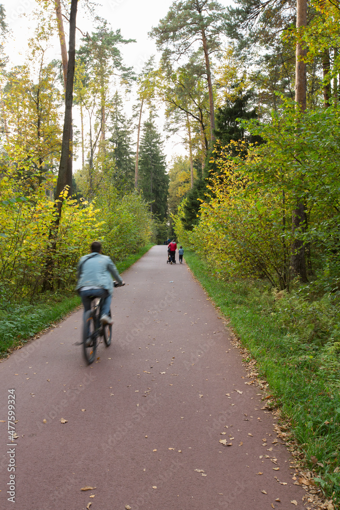 man riding bicycle, woman with son and baby trolley walking on asphalt walkway trail path road in the woods with green grass, trees around. Meshersky forest park. Moscow, Russia man riding bicycle, woman with son and baby trolley walking on asphalt walkway trail path road in the woods with green grass, trees around. Meshersky forest park. Moscow, Russia