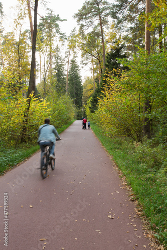 man riding bicycle, woman with son and baby trolley walking on asphalt walkway trail path road in the woods with green grass, trees around. Meshersky forest park. Moscow, Russia