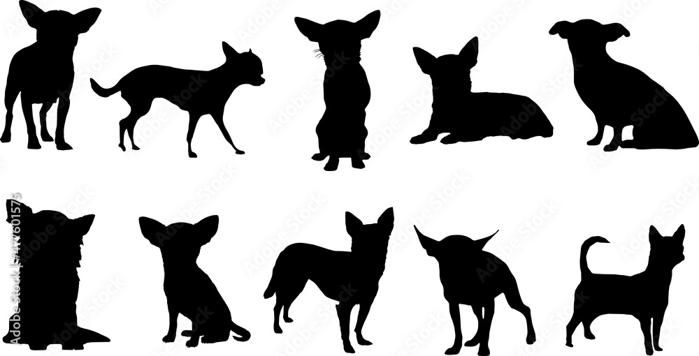 Chihuahua Silhouette Dog Bundle SVG