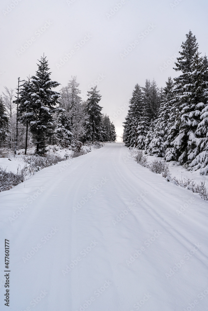 Snow covered trail with smaller trees around in winter cloudy mountains Snow covered trail with smaller trees around in winter cloudy mountains