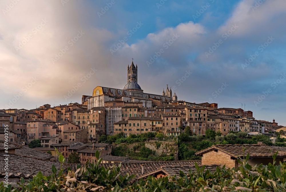 Blick auf die Altstadt von Siena in der Toskana in Italien
