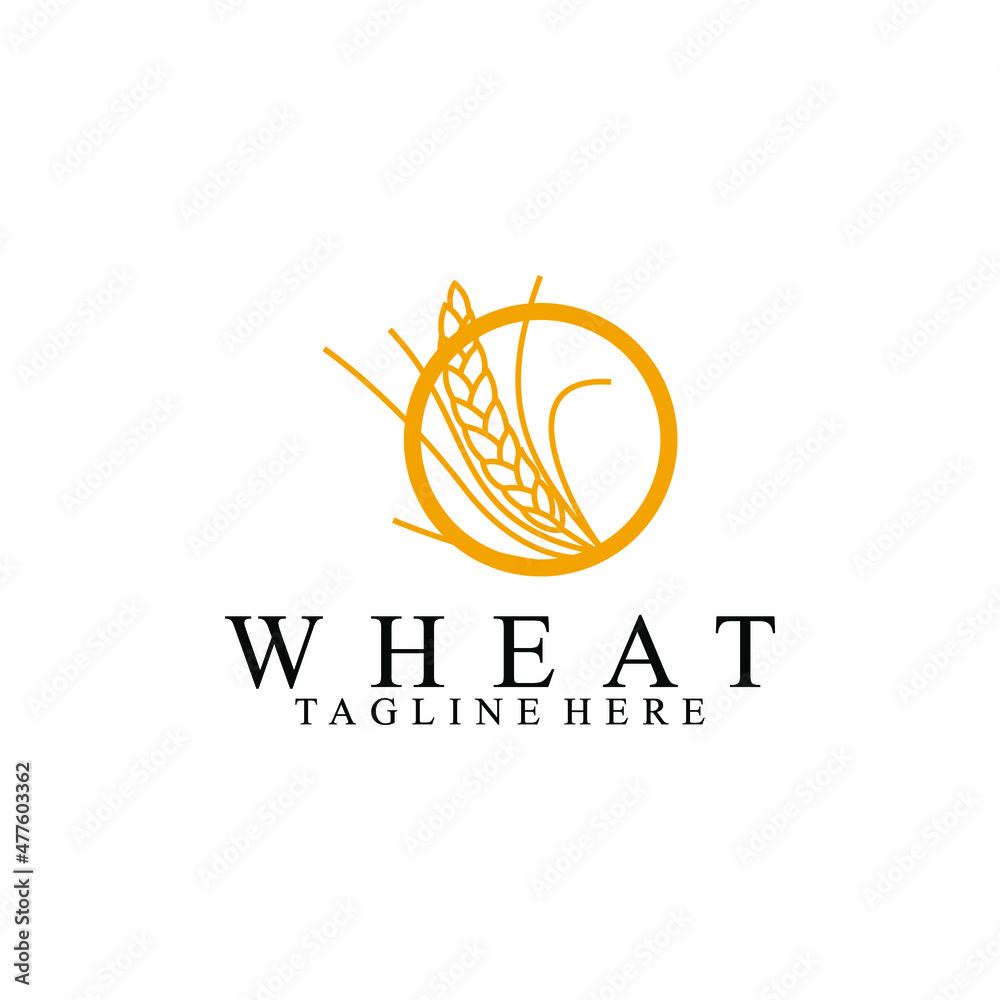 Wheat Logo Design Concept Vector Isolated in White Background Wheat Logo Design Concept Vector Isolated in White Background