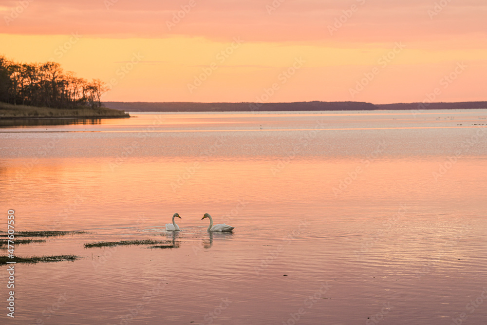 sunset on the lake