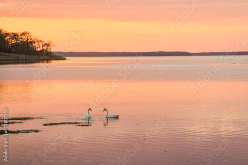 sunset on the lake © 毅 松倉