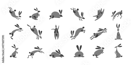 Funny Rabbits collection for your design