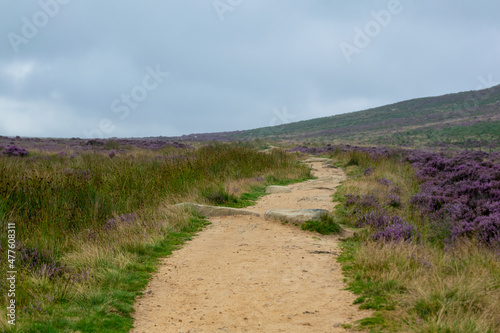Long straight footpath leading through the hillside in Peak District. Wide landscape shot of sandy trekking path, purple heather and grass on sides and full overcast sky.
