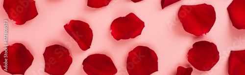 Obraz na plátně top view of red rose petals on pink background, banner.