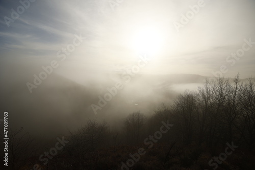 Morning landscape with fog