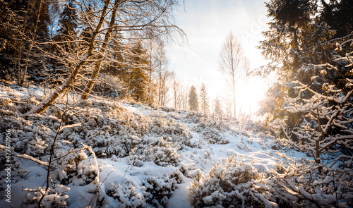 Fototapeta Naklejka Na Ścianę i Meble -  Winter in the mountain forest Beskidy Poland landscape