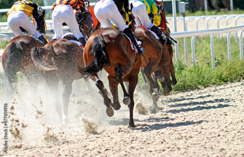 Horses running at the sandy track.