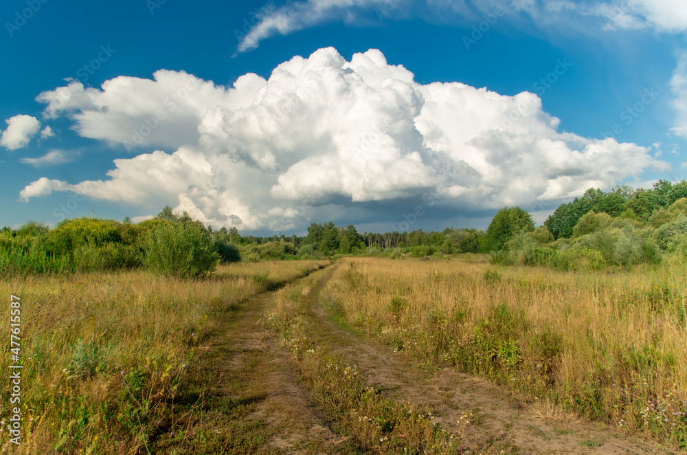 the road to the field near the forest under beautiful clouds the road to the field near the forest under beautiful clouds