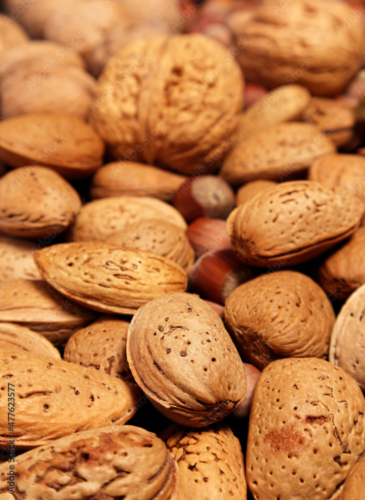 Almond nuts and hazelnut background. Almond with shell. Selective focus Almond nuts and hazelnut background. Almond with shell. Selective focus