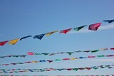 flags in the wind