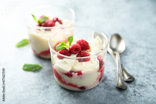 Homemade meringue trifle with custard and raspberries