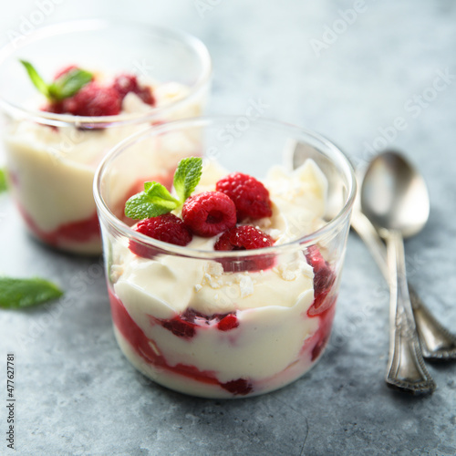 Homemade meringue trifle with custard and raspberries