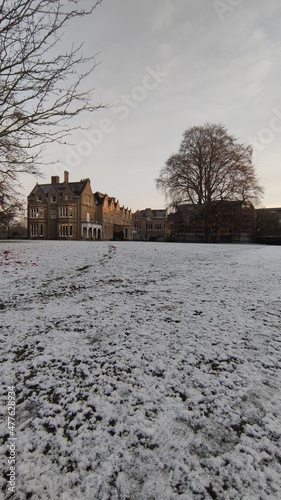 Snow field