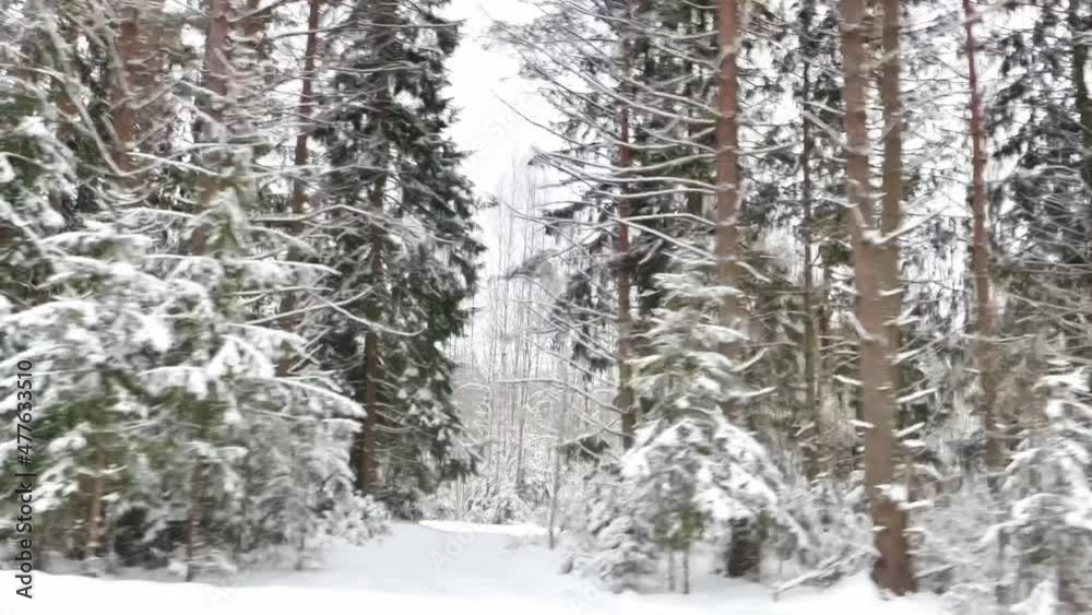 View from the car window in motion. Beautiful winter snow forest, view from the car window in motion, background. Snow on tree branches in frosty weather in the evening, adventure. View from the car window in motion. Beautiful winter snow forest, view from the car window in motion, background. Snow on tree branches in frosty weather in the evening, adventure.