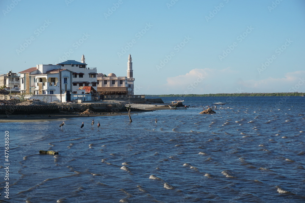 View form the harbour onto Masjid Madina Mosque, Lamu