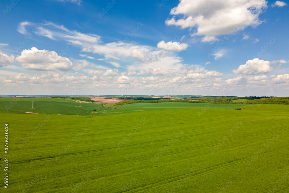 Aerial landscape view of green cultivated agricultural fields with growing crops on bright summer day. Aerial landscape view of green cultivated agricultural fields with growing crops on bright summer day.