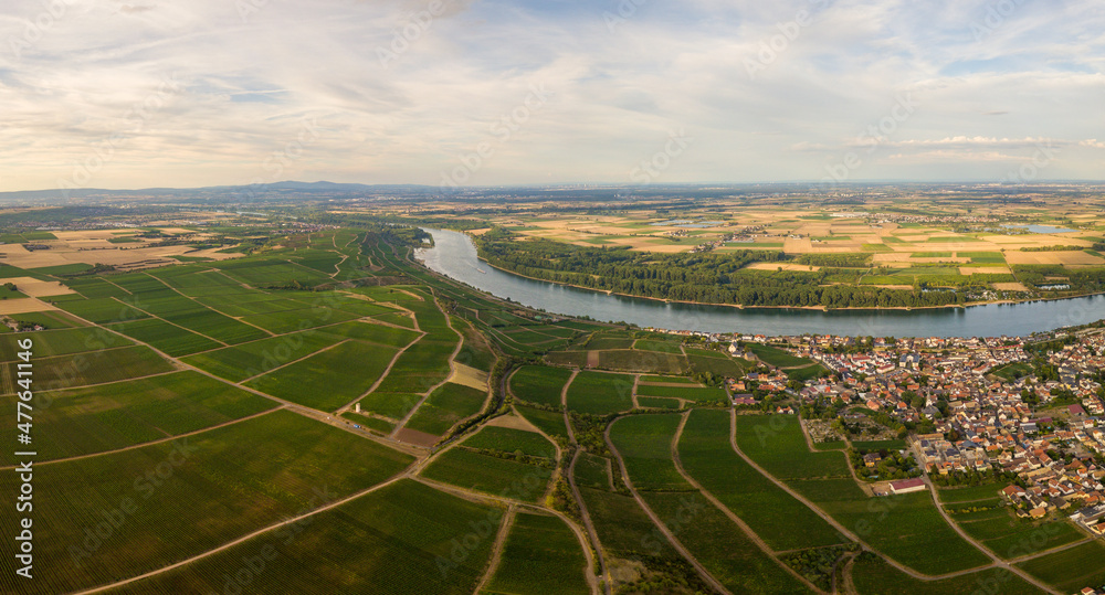 Drohnen Luftaufnahme der Weinberge am Roten Hang bei Nierstein und Oppenheim im Sommer beim Sonnenuntergang, Rheinland-Pfalz Deutschland
