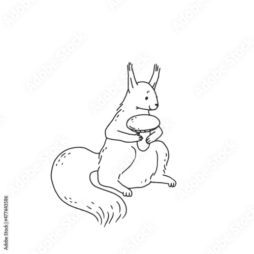 squirrel with . Cartoon outline black white sketch illustration of cute animal character.