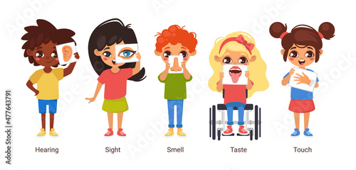 Vector cartoon style illustration of five senses.