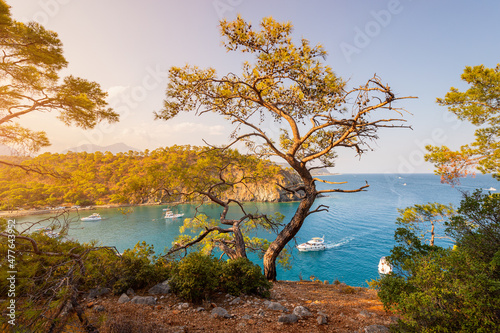 Panoramic seascape of paradise bay in the middle of a pine forest with many yachts boats. Wonderful views of the Lycian trail in the Kemer area, Turkey