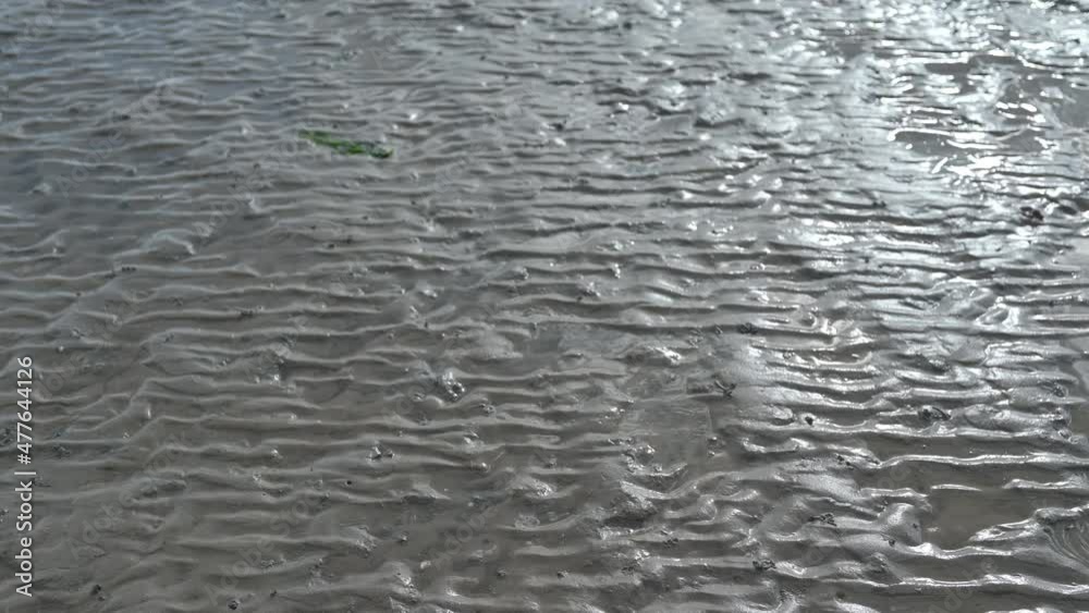 wet wadden sea mud in sunshine vertical pan up 4k UHD wet wadden sea mud in sunshine vertical pan up 4k UHD