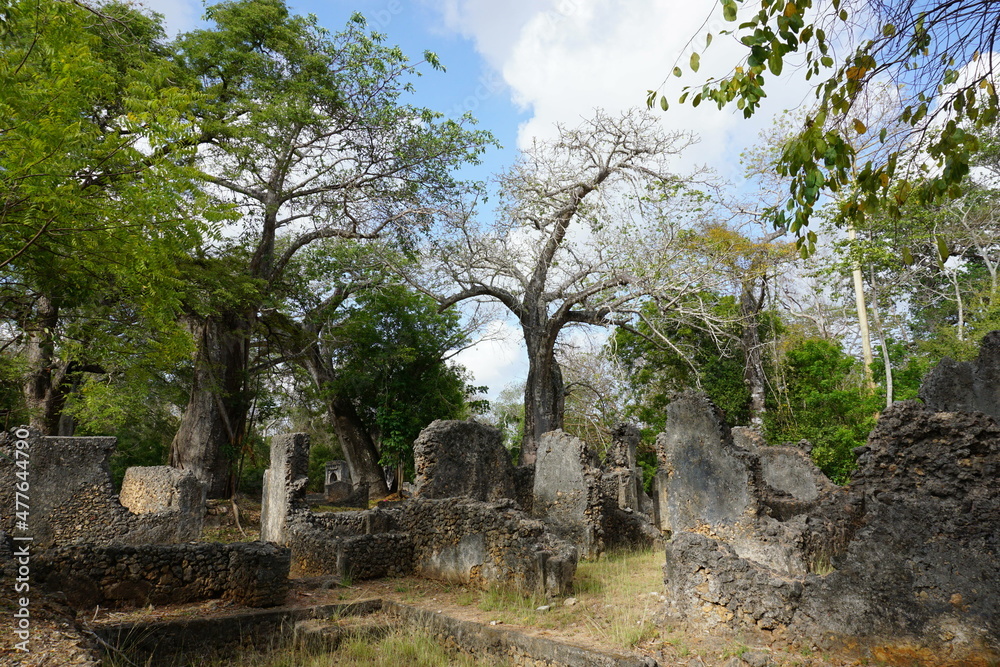 The Gedi ruins complex in Watamu situated in between the jungle The Gedi ruins complex in Watamu situated in between the jungle
