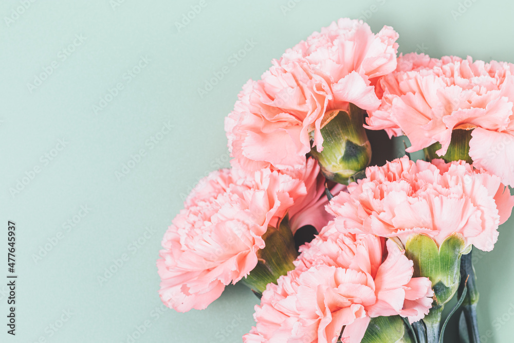 Fresh pink flowers bouquet on pastel green background Fresh pink flowers bouquet on pastel green background