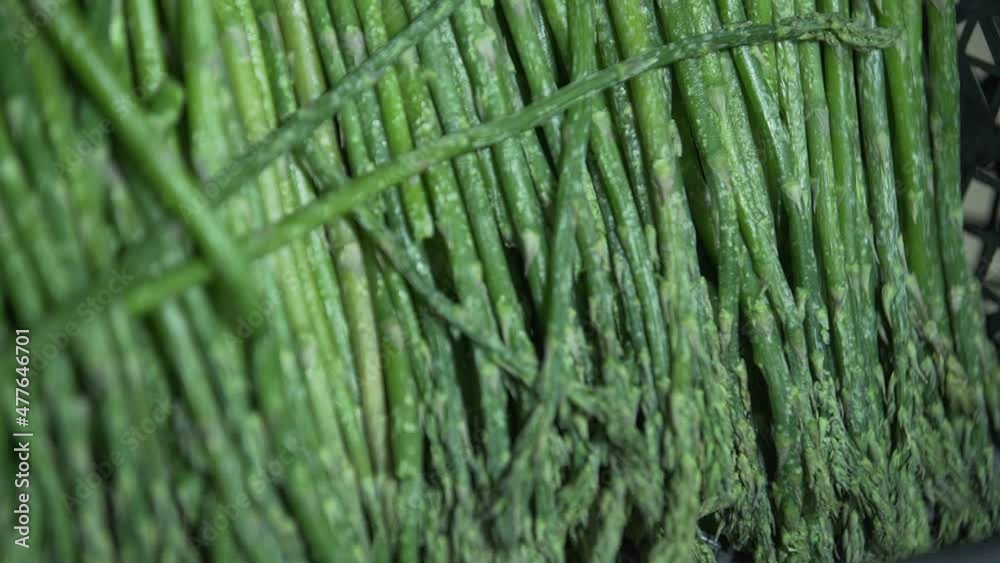 Asparagus in boxes in a industrial food large cold storage refrigerator. Slow Motion Asparagus in boxes in a industrial food large cold storage refrigerator. Slow Motion