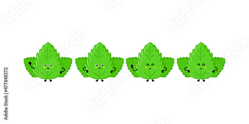 Cute funny mint leaf character. Vector hand drawn cartoon mascot character illustration icon. Isolated on white background