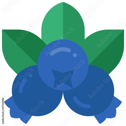blueberry flat icon