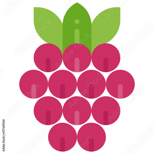 raspberry flat icon
