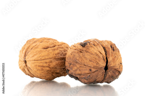 Two ripe walnuts, close-up, isolated on white.