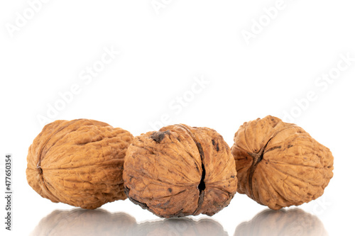 Three ripe walnuts, close-up, isolated on white.