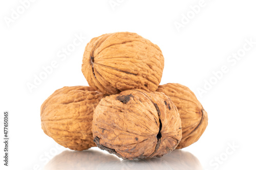Several ripe walnuts, close-up, isolated on white.